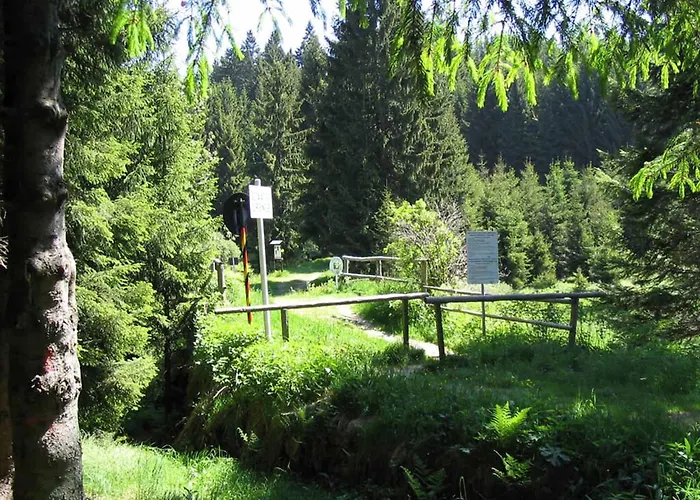 Maerchenwald