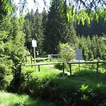 Maerchenwald