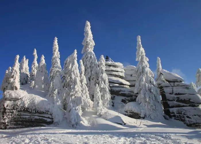 מלון Maerchenwald Haidmühle